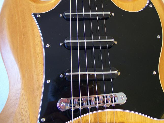 SG Standard with Single Coil Pickups Picture 13